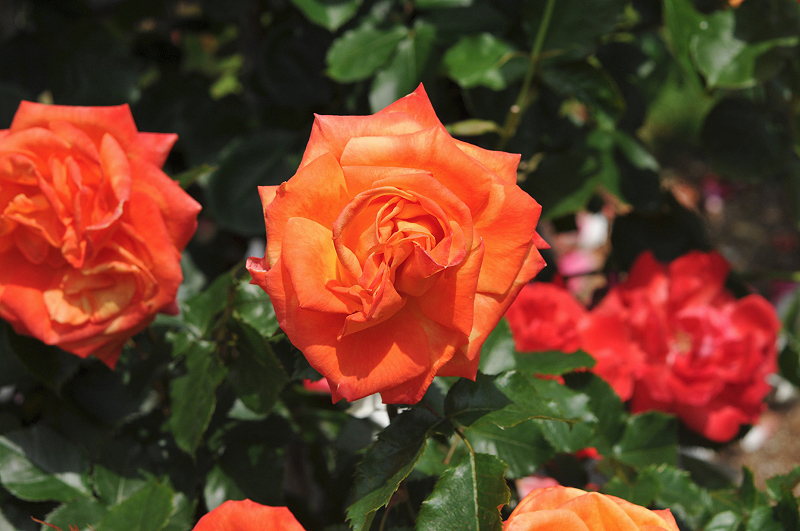 image0114