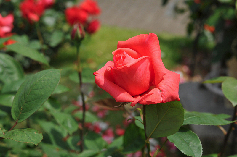 image0117