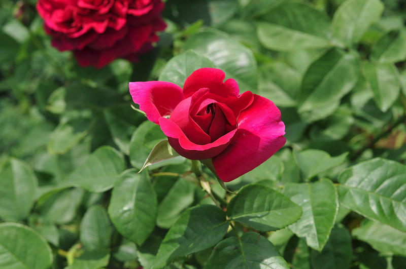 image0120