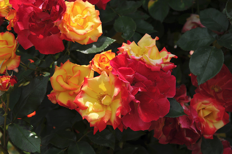 image0124