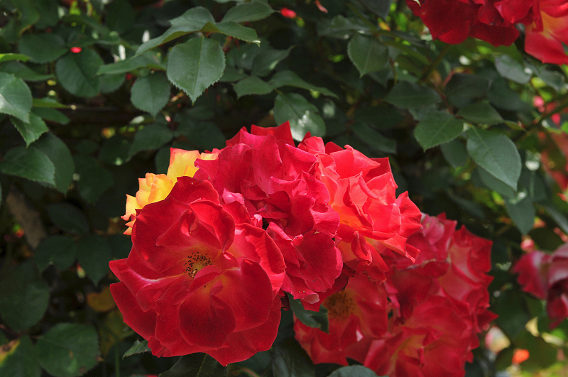 image0125