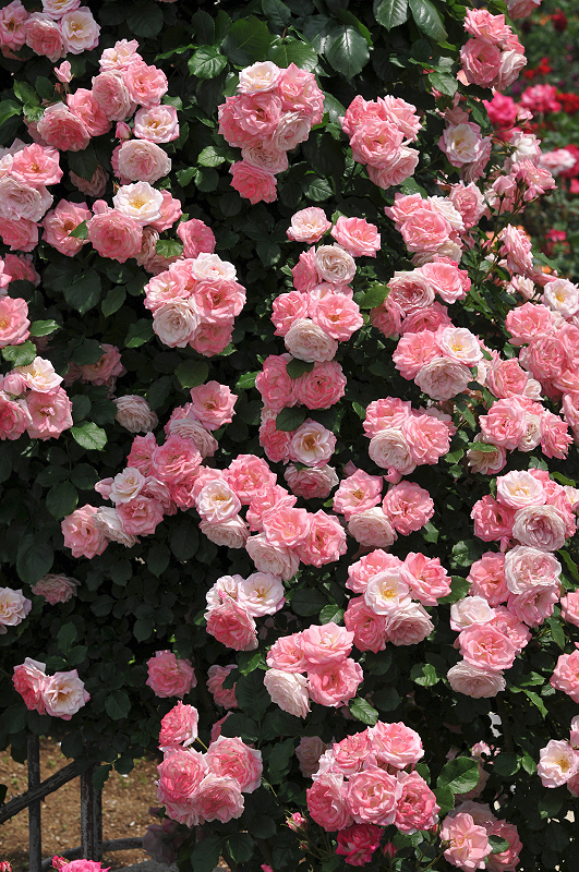 image0127