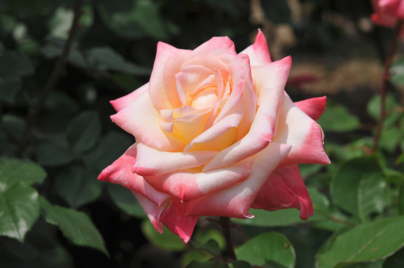 image0135