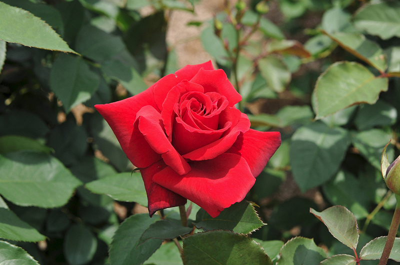 image0139