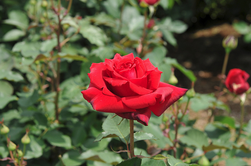 image0140