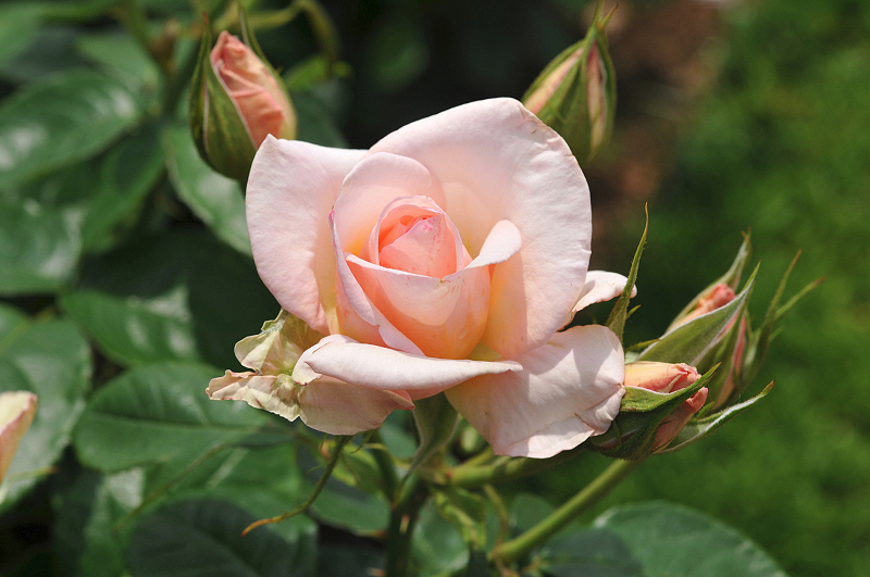 image0152