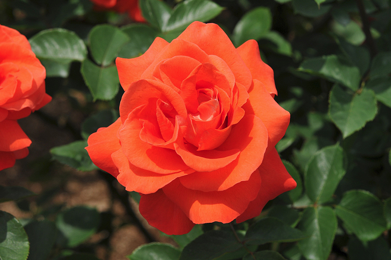 image0156