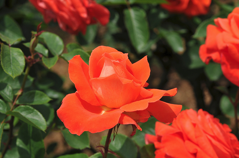 image0157