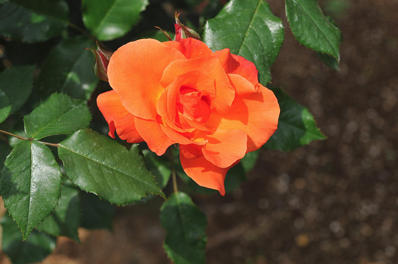 image0158