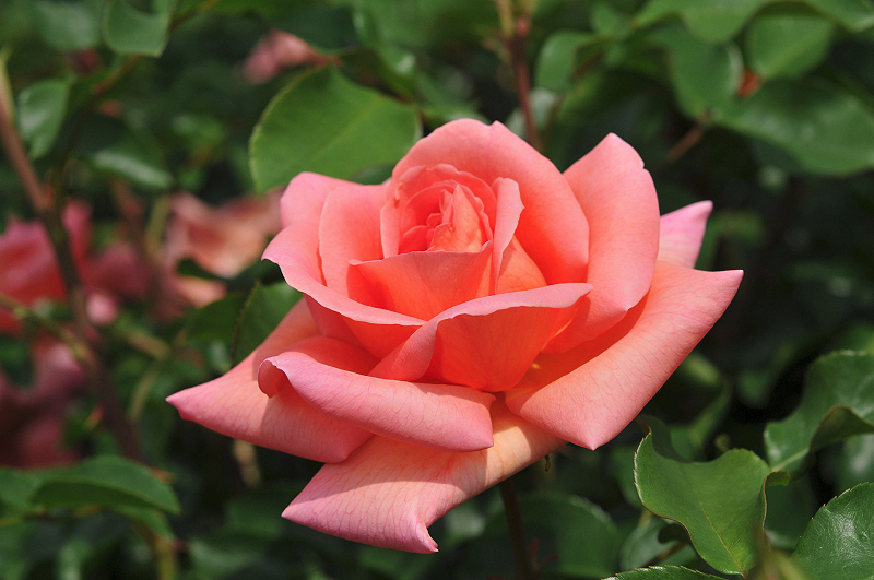 image0163