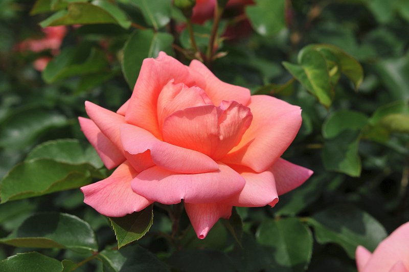 image0164