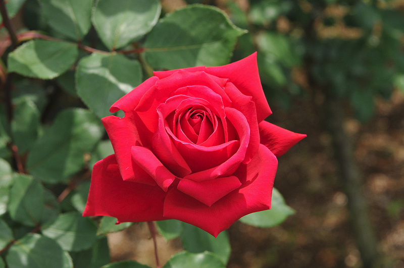 image0167