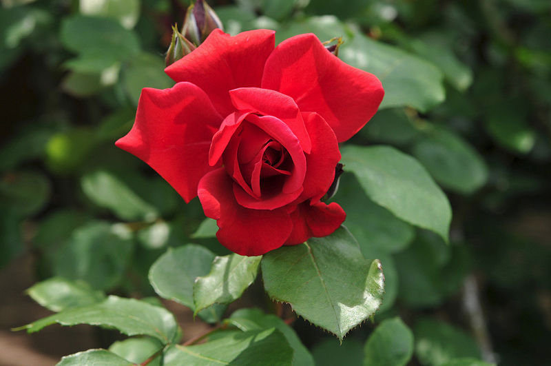 image0170