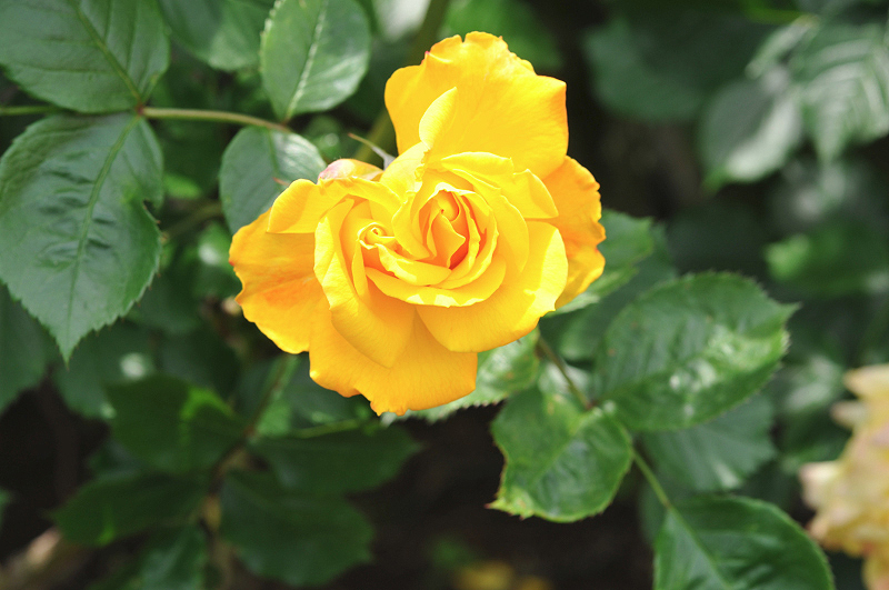 image0171