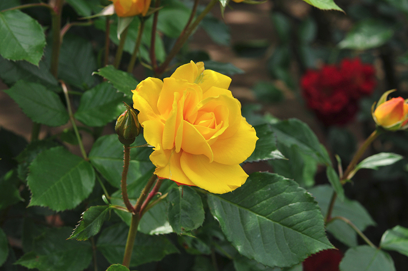 image0172