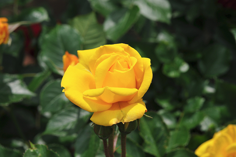image0173