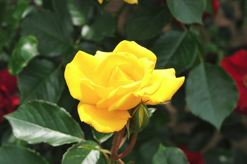 image0174