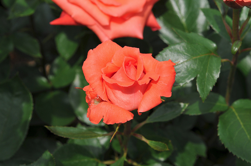 image0175