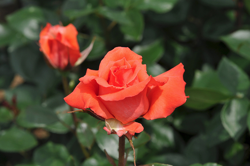 image0177