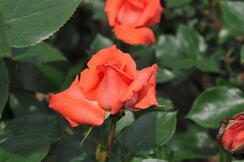 image0178