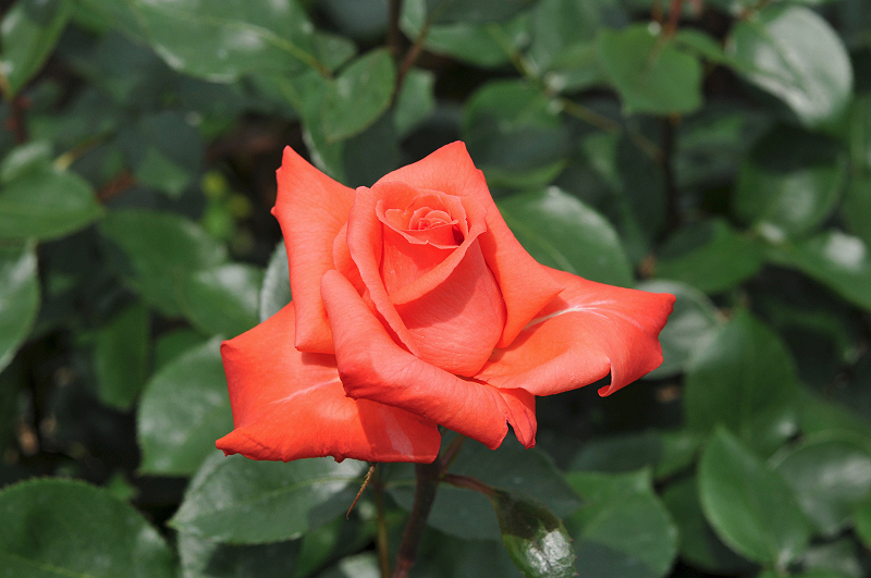 image0180
