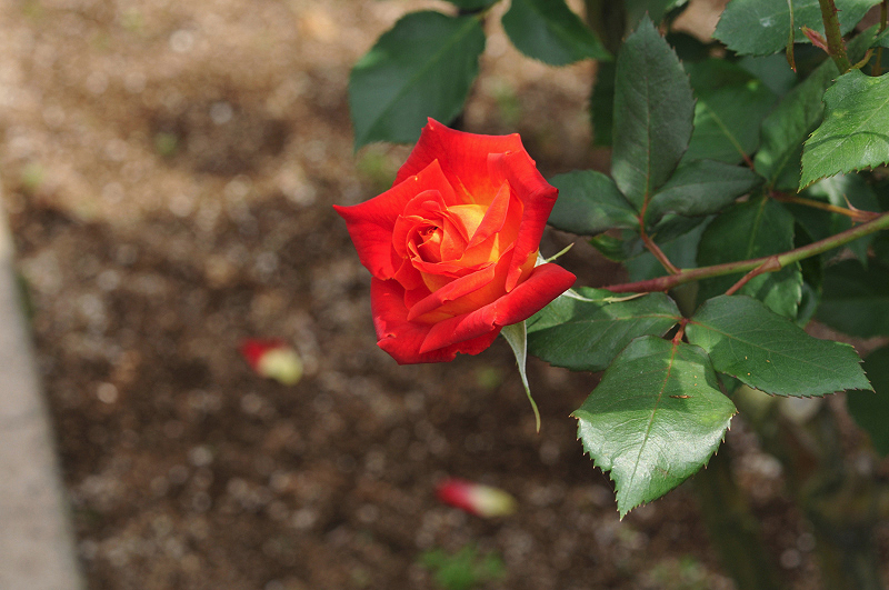 image0191