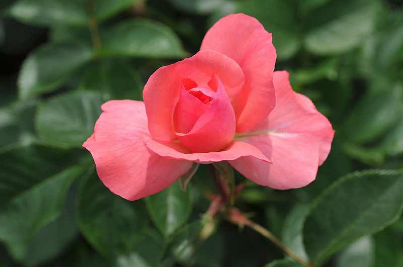 image0197