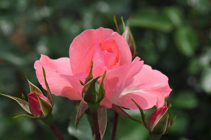 image0198