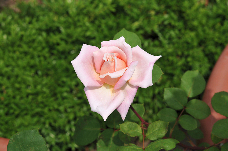 image0201