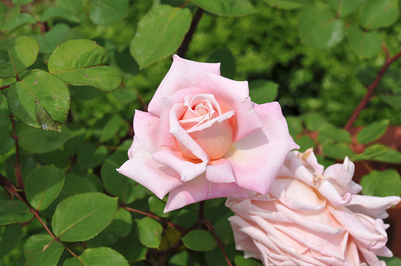 image0202