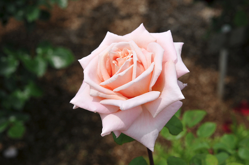 image0203