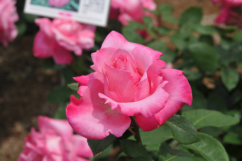 image0210