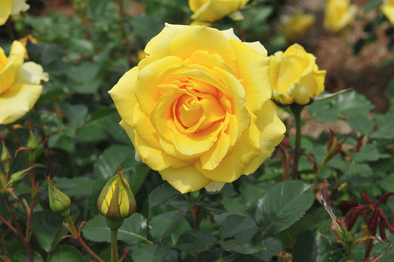 image0212