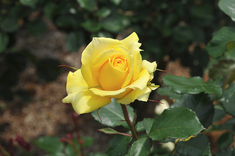 image0216
