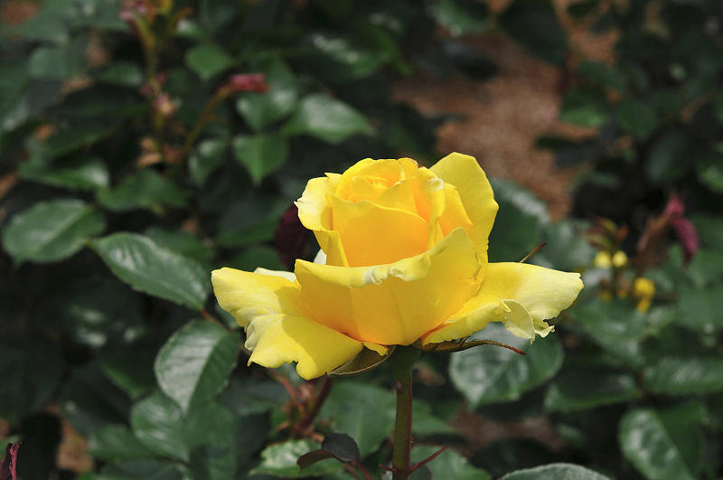 image0218