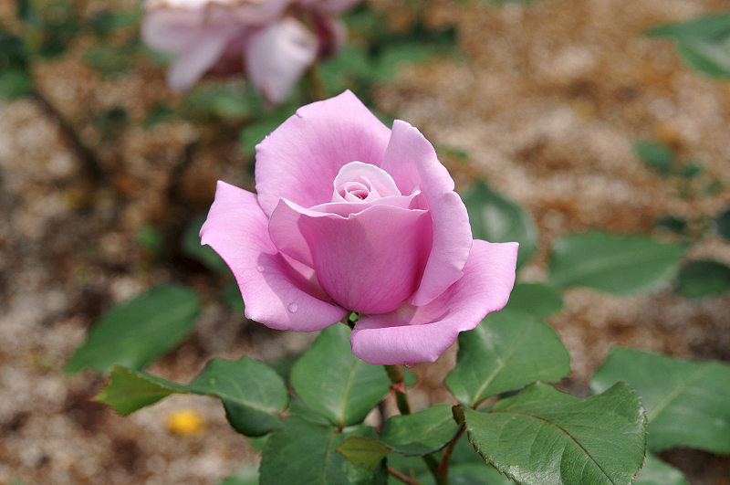 image0221