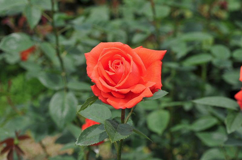 image0224
