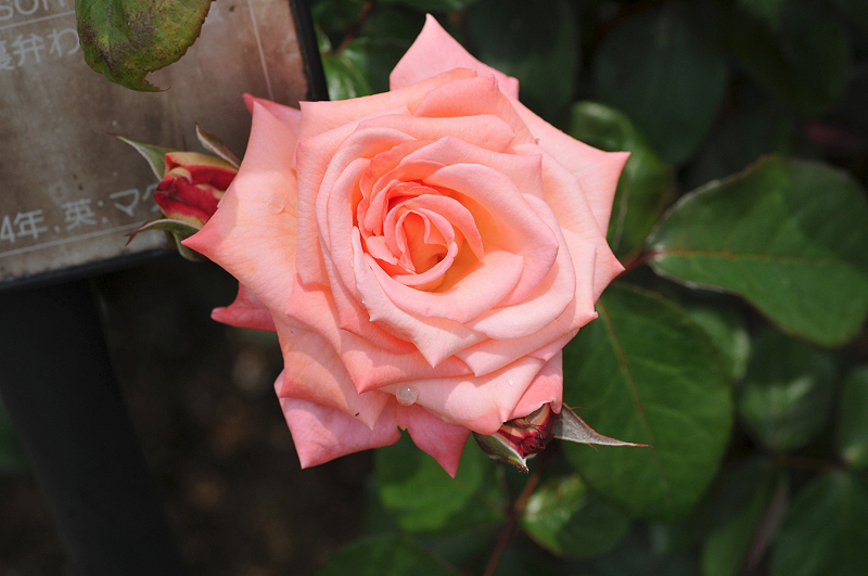 image0236