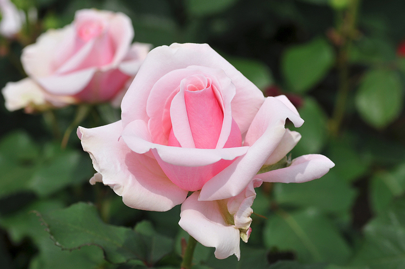 image0259