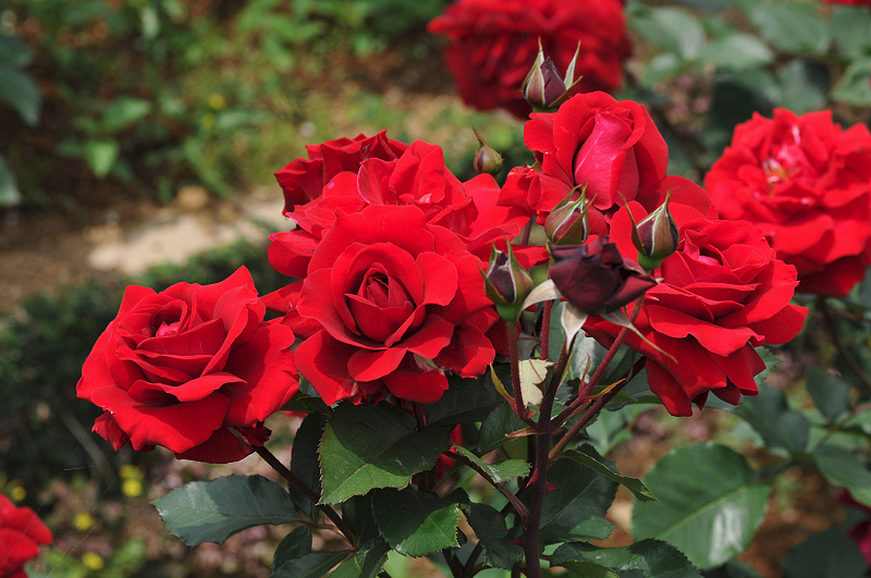 image0273