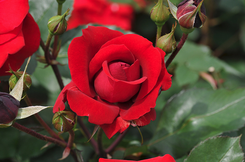 image0274