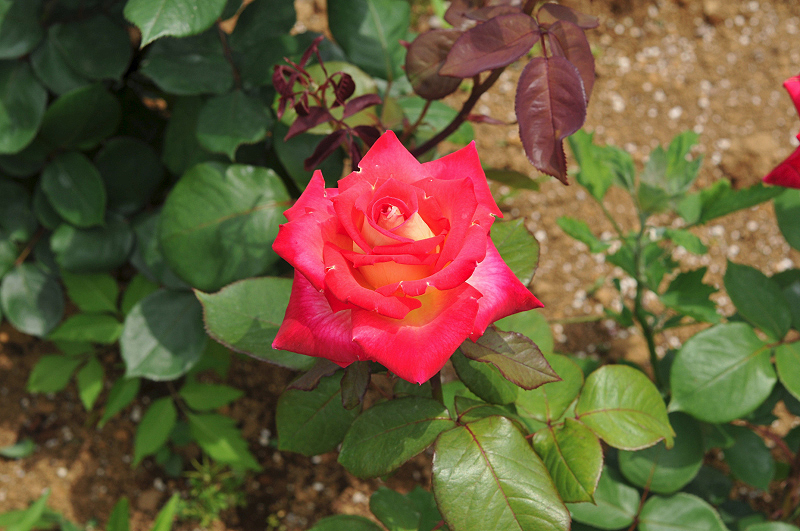 image0283