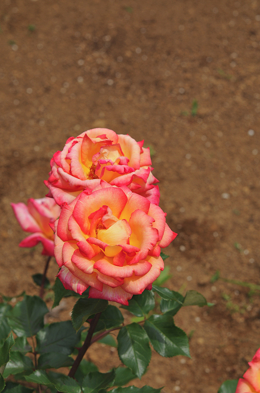 image0284