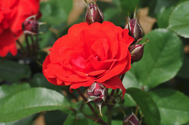 image0289