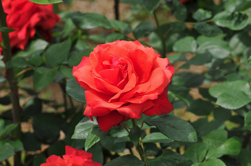 image0291