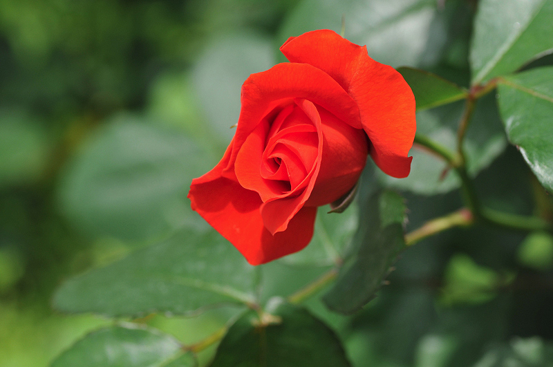 image0293