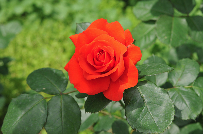 image0295