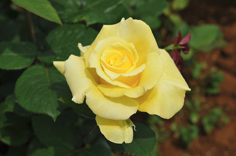 image0296