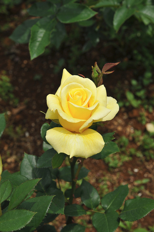 image0297