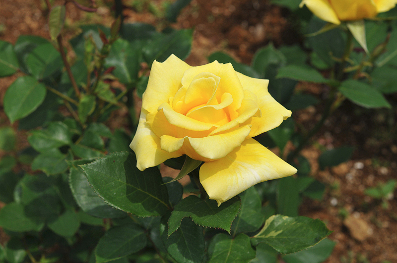 image0298